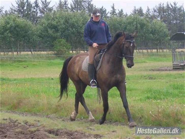 Anden særlig race Zafir Granly R.I.P - zafir og lena (gammel ejer) billede 11