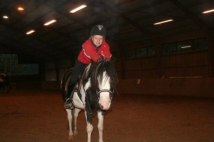 Pinto Svalegårds Alberte*tider  - hvor jeg dog savner dig det var den bedste uge i mit liv med dig <3 ride lejer 2010 billede 5