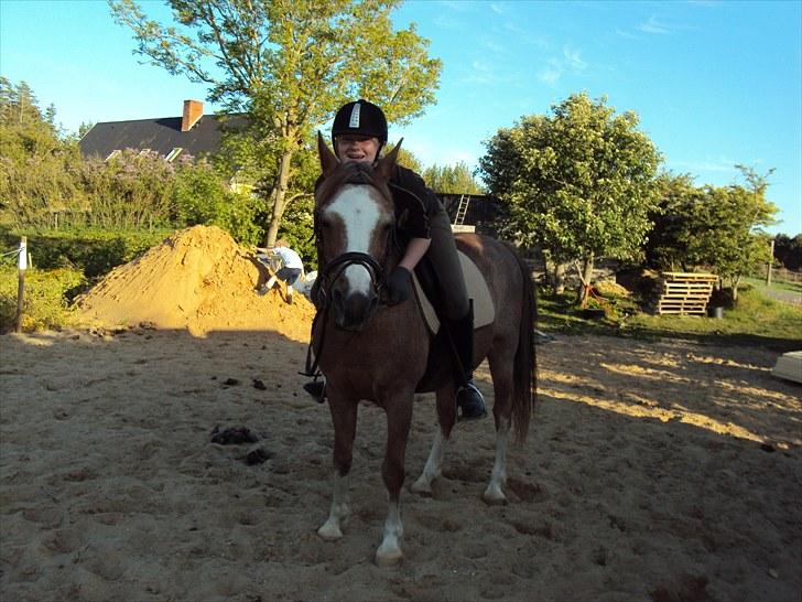 Anden særlig race Verdi - he loves the kamara billede 7