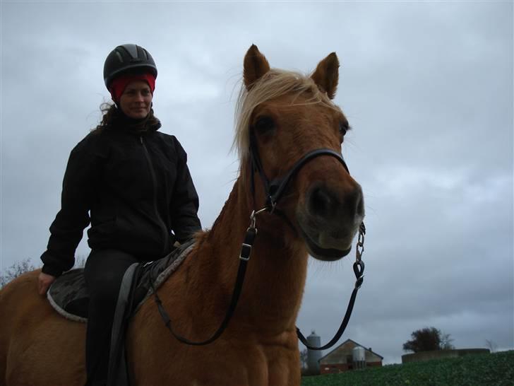 Anden særlig race Isabella billede 12