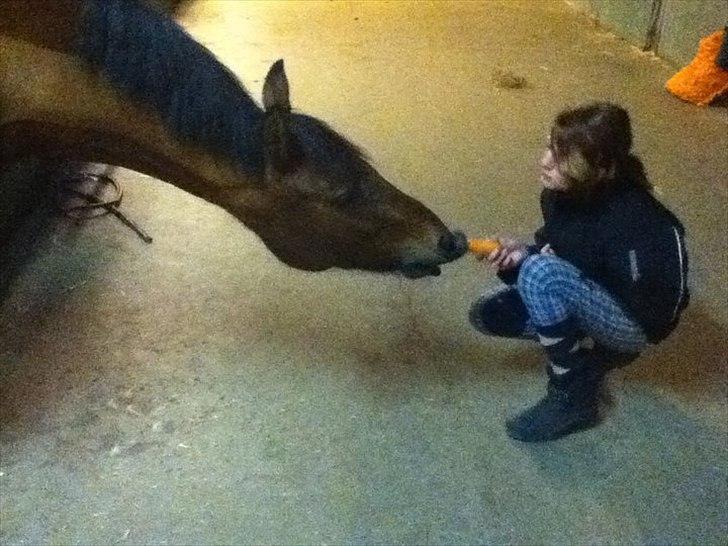 Anden særlig race Ofelia<3. - Lille øffe, får mad. billede 7