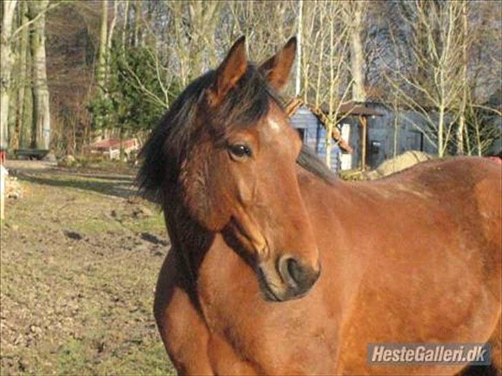 Traver •*¨*•¸Surprise star¸•*¨*• - 9. Fordi du er dig selv... billede 9