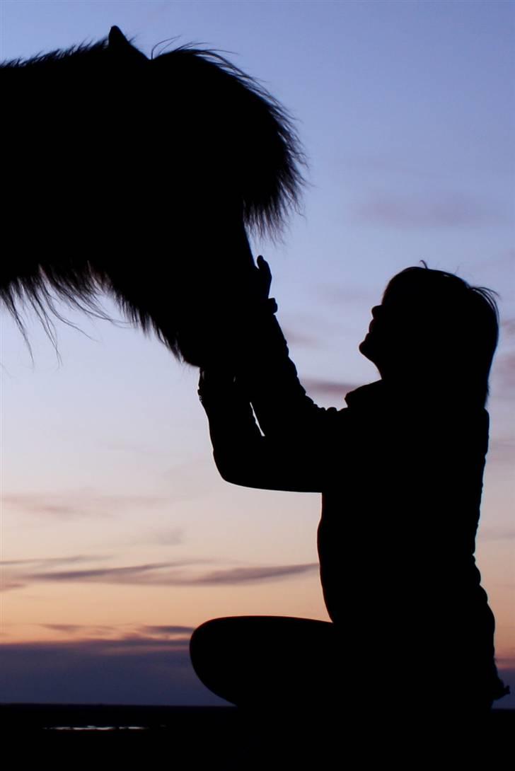 Islænder Bergdis Frá Króki - Tøsen og jeg - On Iceland billede 5