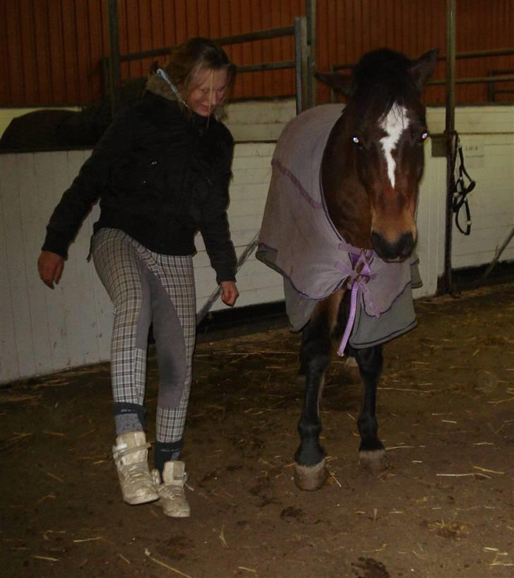 DSP Bæklunds Remus - solgt - remus og jeg laver spanske skridt samme! :D billede 20