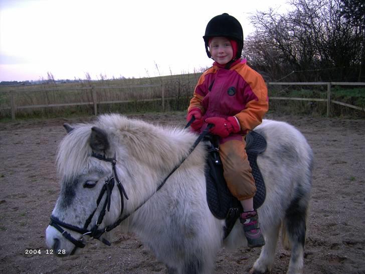 Shetlænder Tilde - Rider da jeg var 6 år gammel.... billede 12