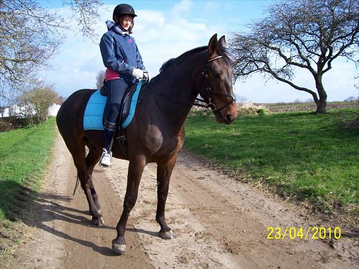 Anden særlig race Solgt-Olesens Django - Den dag Django blev hentet af Pia billede 17