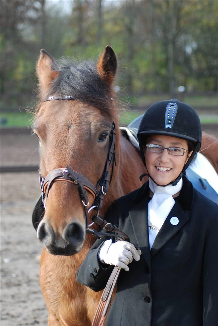 New Forest Spangbo's Spitfire - Efter riddet til stævnet på Vasehus billede 8