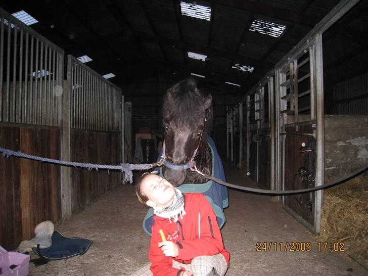 Dartmoor Don Pedro - Har redet :( - mysser:* billede 12