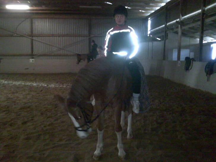 Anden særlig race jupiter(G.Lpart<3)juppi<3 - frede og jupiter!<3 billede 8