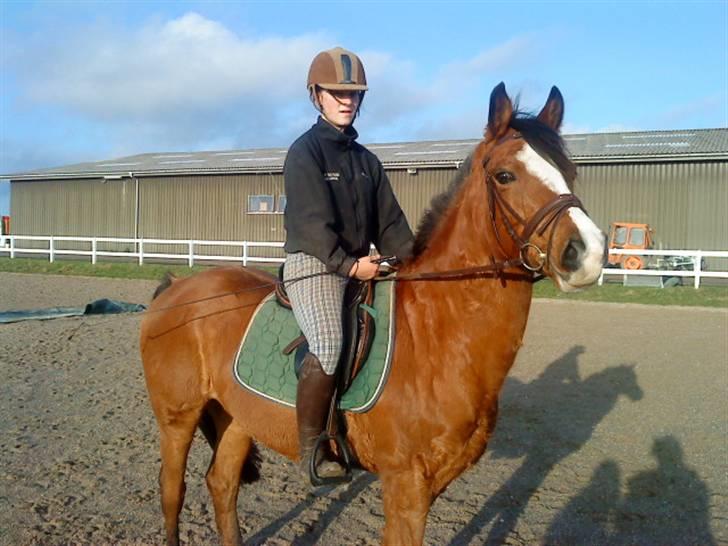 New Forest Fleur   - Velkommen til Fleurs Profil <´3 billede 1