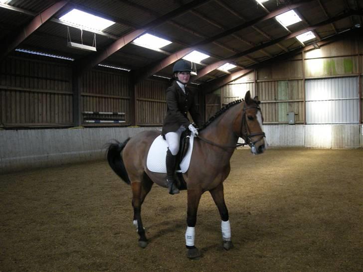 New Forest Fleur   - Hun blev lige lidt hypper ;p<3 billede 3