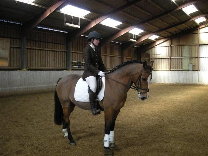 New Forest Fleur   - Dressur ;p <3 billede 4
