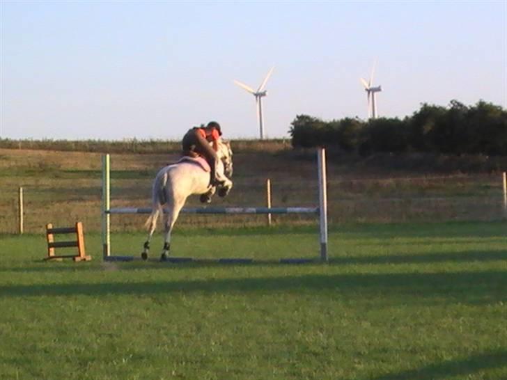 DSP Indian Spirit solgt:'( billede 19