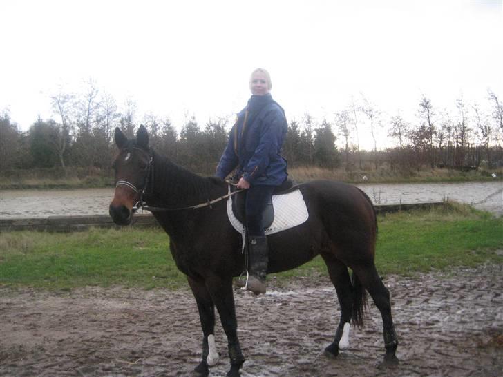 Traver sissel win - november 2009 billede 7