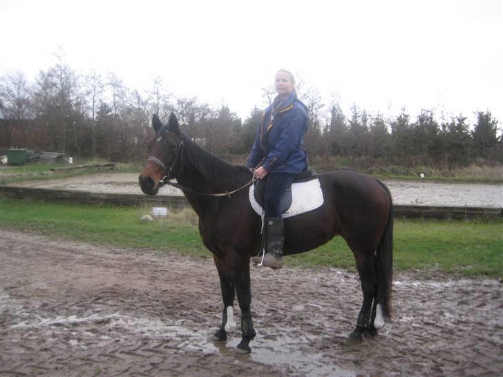 Traver sissel win - november 2009 billede 8