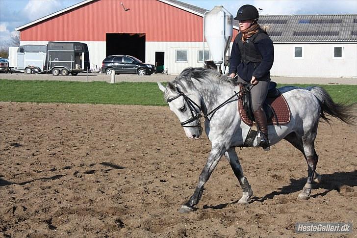 Anden særlig race CASMIR | - Ja jeg ved jeg sidder som en gammel ko, men kig på ponyen - den er fin <3 ;) billede 10