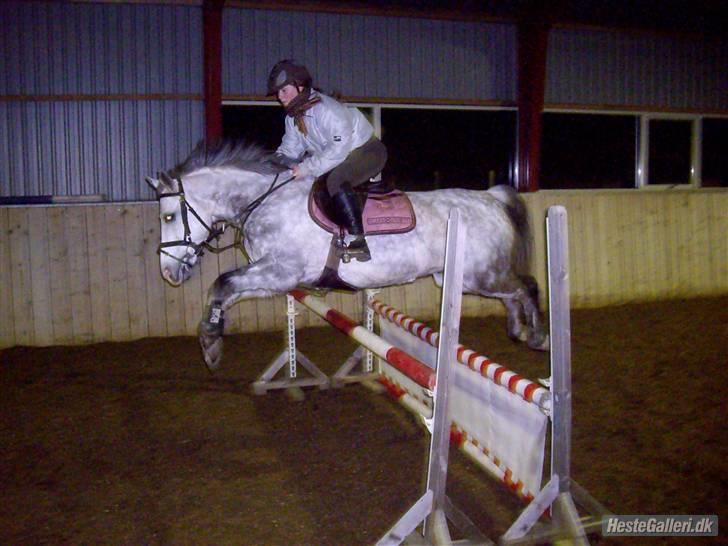 Anden særlig race CASMIR | - kyskyskys til dig basse billede 11