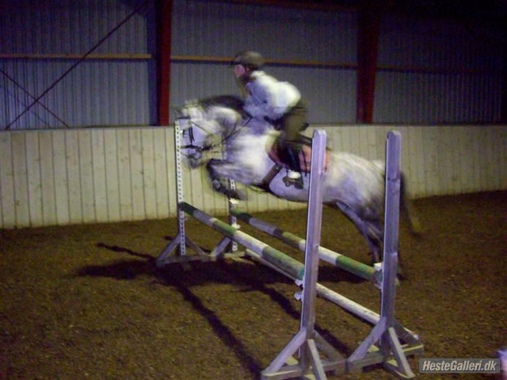 Anden særlig race CASMIR | - :) billede 13