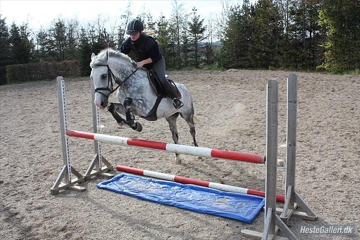 Anden særlig race CASMIR | - Jeg er ik´ bange for vand :) billede 14