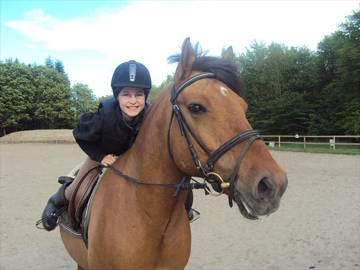 New Forest Elvis - Du er bare fantastisk!foto: Sidsels M  billede 18