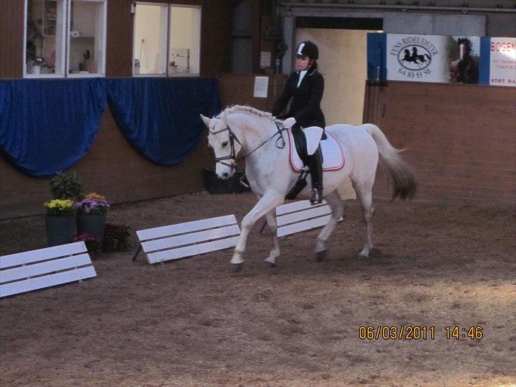 Sportsaraber (A) Zille mellemgård<3 - Stævne den 6/3-2011 billede 9