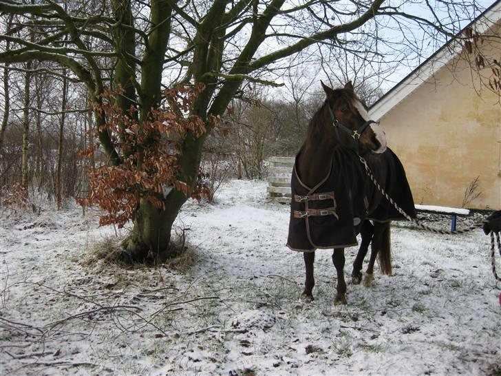 DSP Evita  - er jeg ikk bare fin?;) billede 1