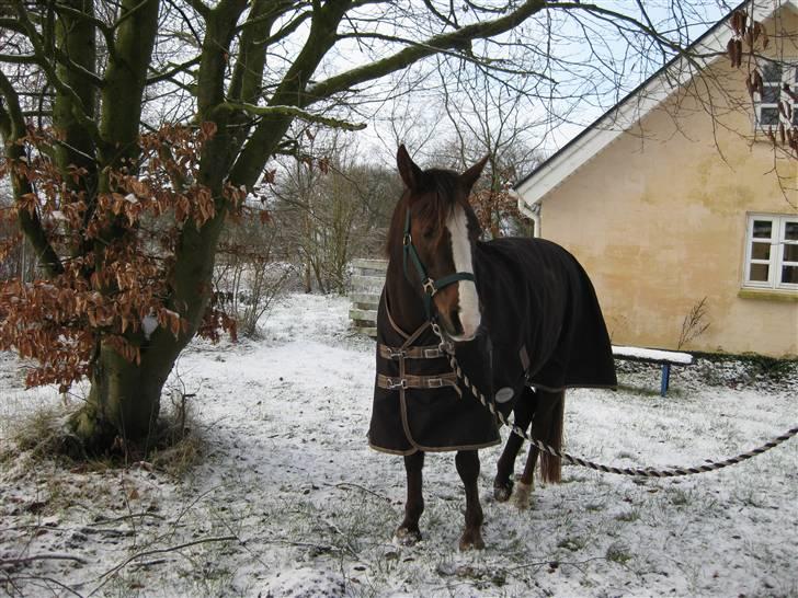 DSP Evita  billede 2