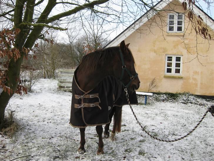 DSP Evita  billede 3