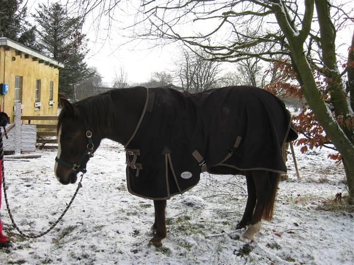 DSP Evita  billede 5