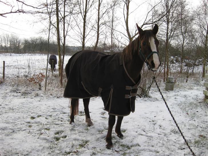 DSP Evita  billede 8