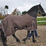 Frieser »'Tsjalf Ellemose.