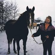 Anden særlig race Jonas