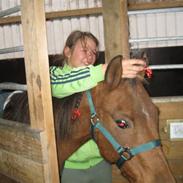 Anden særlig race Rasmus R.I.P ;´(