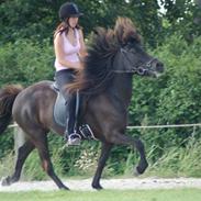 Islænder Sudda fra Glyngøre (død)