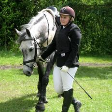 Dansk Varmblod Coroli *R.I.P*