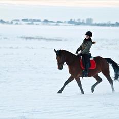 Anden særlig race Bakkely's Rosa