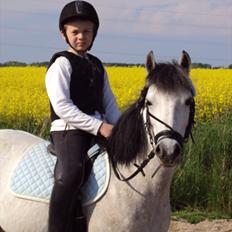 Anden særlig race Askepot 