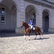 Frederiksborg Grethe Kolbe