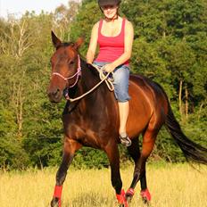 Traver Miss Williams †