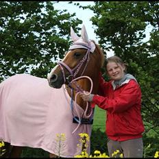 Hollandsk Sportspony Danja R.I.P. <3