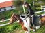 Pinto †Wivarto<3R.I.P 14/9-10;/† - Et kors 
Et hjerte 
Et anker 

Du vil ALTID være i mine tanker.

Kom tilbage :'(