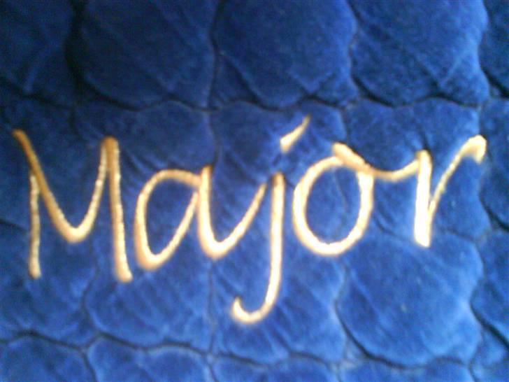 Anden særlig race Major billede 12