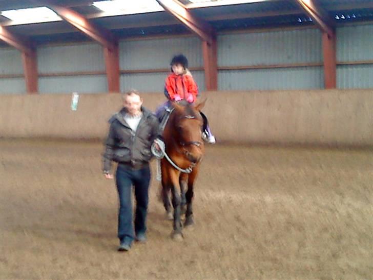 Anden særlig race Major - En af mine bedste venners datter til hest ;D billede 16