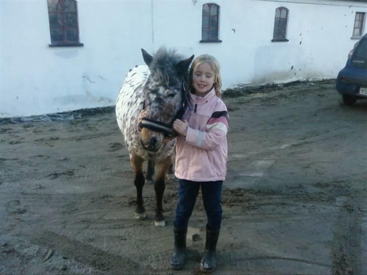 Appaloosa l Pippi (Lillesøster's)<3 - Pippi og Christina uden for stutteri Bæk ;) billede 7