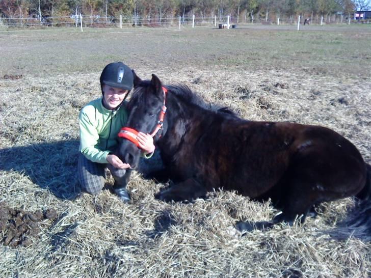Anden særlig race Dina * Solgt * - hygge, hygge og atter hygge.. på folden med min kæletrold<3 billede 6