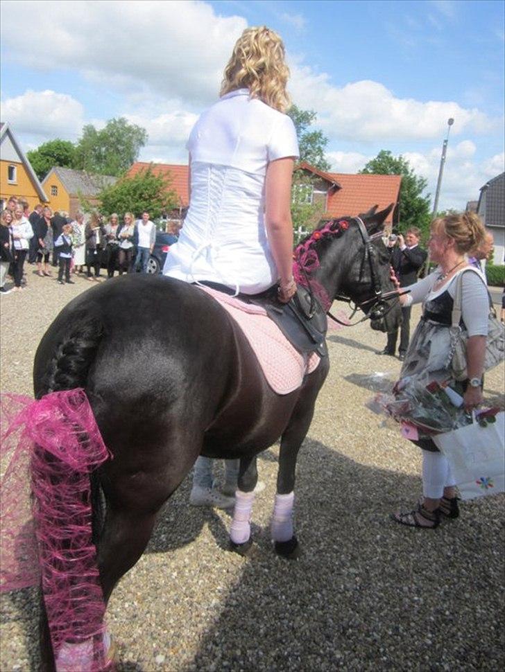 Anden særlig race Dina * Solgt * - Så blev lille pony pyntet på en hel ny måde:) billede 7