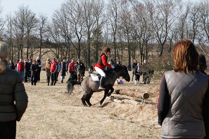 Anden særlig race Bonus billede 2