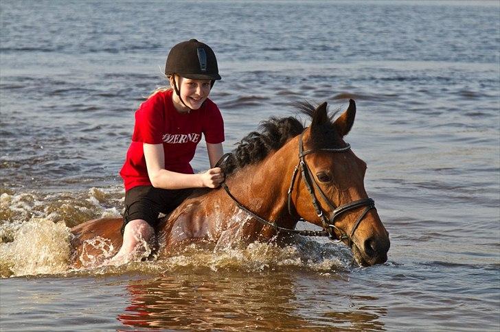 Anden særlig race Bakkely's Rosa - Søhest ! :D Foto:far billede 10