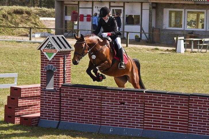 Anden særlig race Bakkely's Rosa - Lb i Farstrup, 1. plads :) Foto:far billede 13