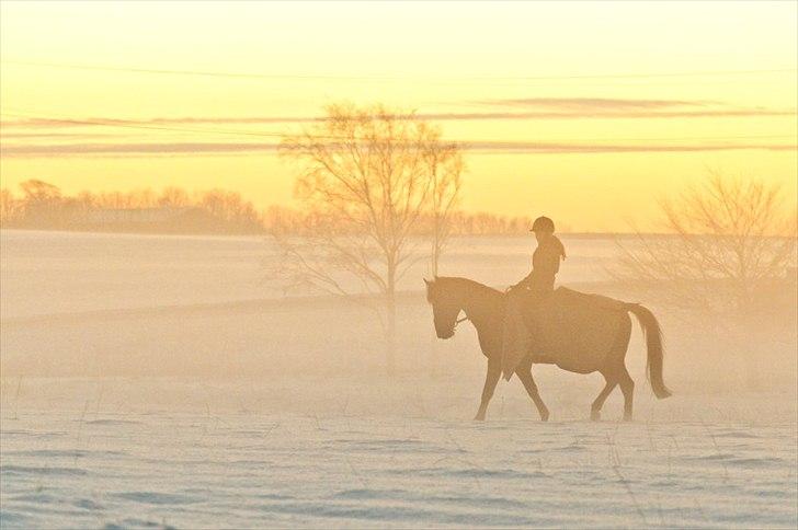 Anden særlig race Bakkely's Rosa - En lille hygge tur  :), Foto :far billede 15